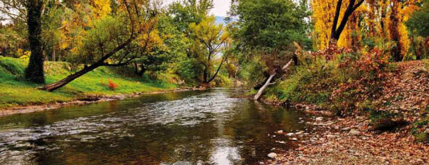 Ovens River